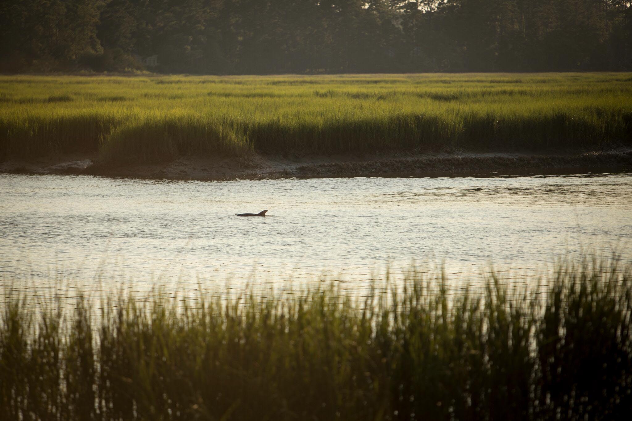 river-park-berkeley-hall-club-bluffton-south-carolina-4 (14)